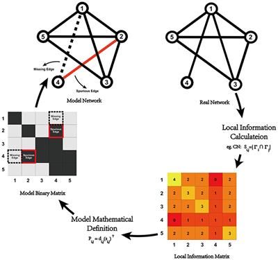 Comparison of Local Information Indices Applied in Resting State Functional Brain Network Connectivity Prediction